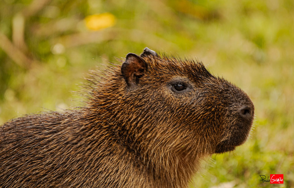 WhatsApp Image 2025-01-21 at 17.29.25.jpeg