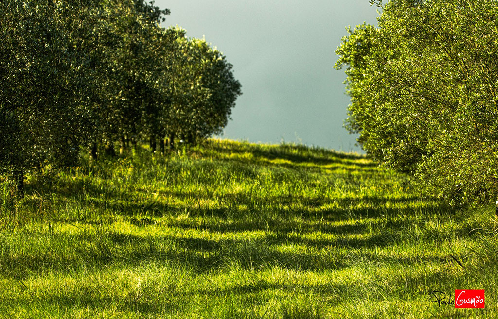 WhatsApp Image 2025-01-21 at 17.29.27.jpeg