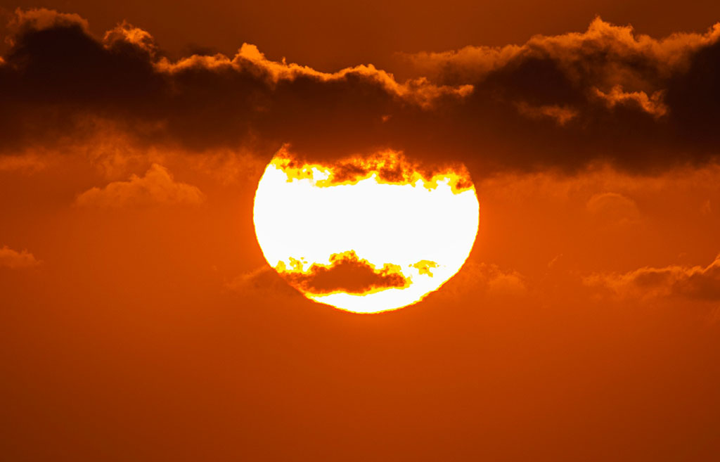 WhatsApp Image 2025-01-21 at 17.29.57.jpeg