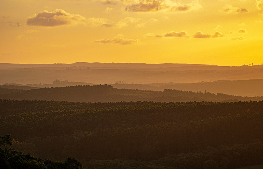 WhatsApp Image 2025-01-21 at 17.29.54.jpeg