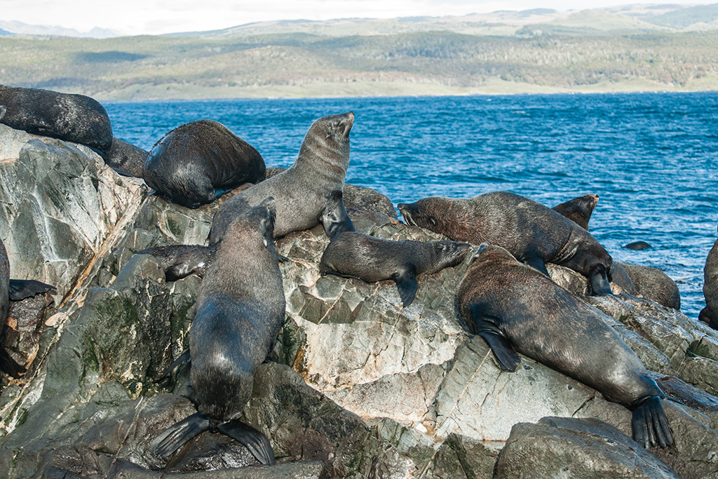 patagonia 2013-32.jpg