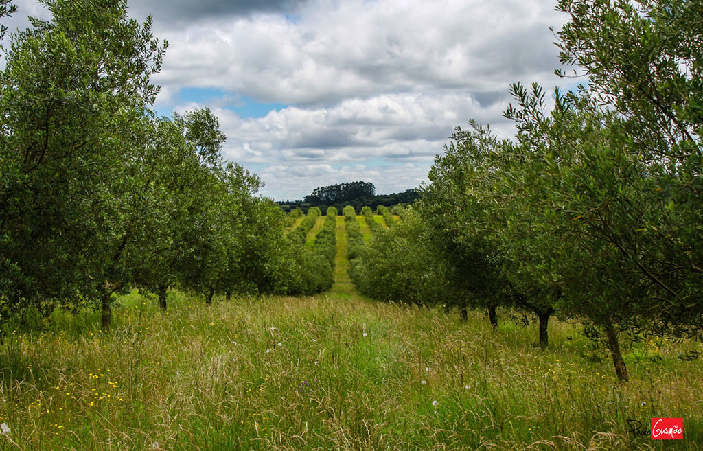 WhatsApp Image 2025-01-21 at 17.29.18.jpeg