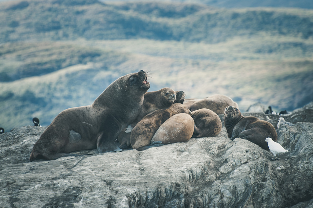 patagonia 2013-23.jpg