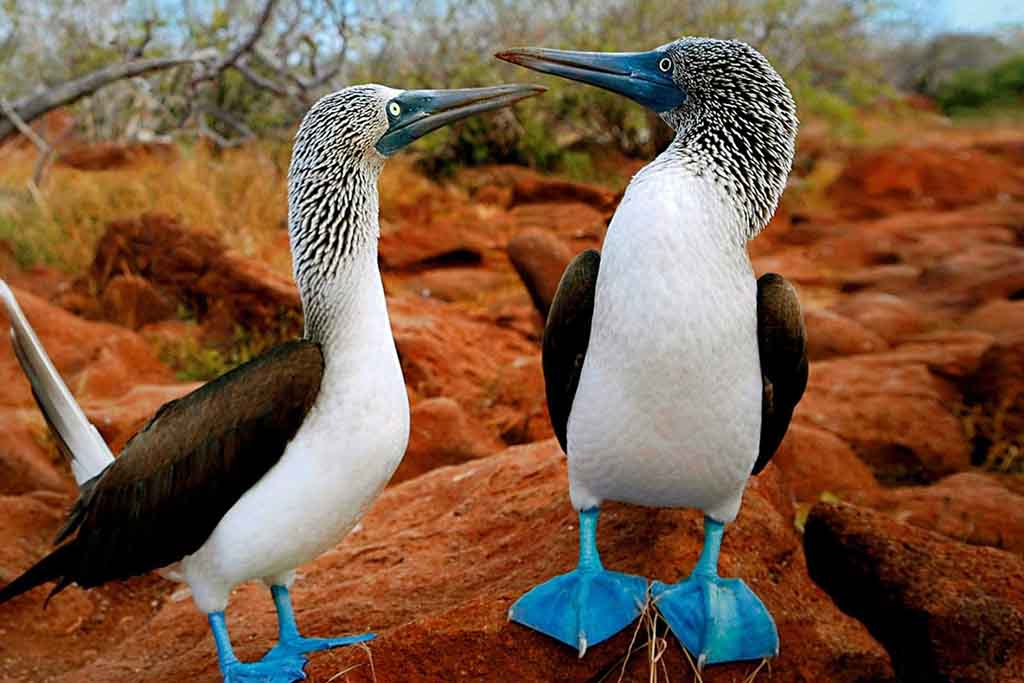 equador e galapagos 5.jpg