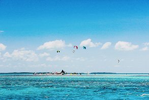 WhatsApp Image 2025-10-23 at 14.26.07.jpeg